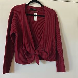 Cranberry sweater